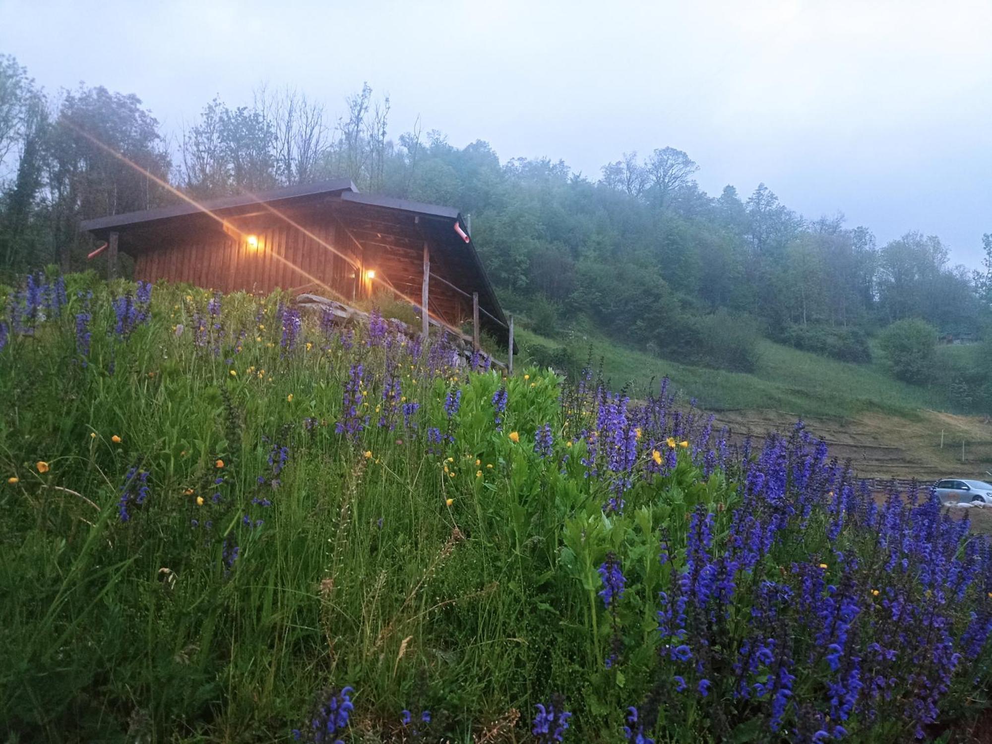 Cremeno Agriturismo Cascina Cornella מראה חיצוני תמונה