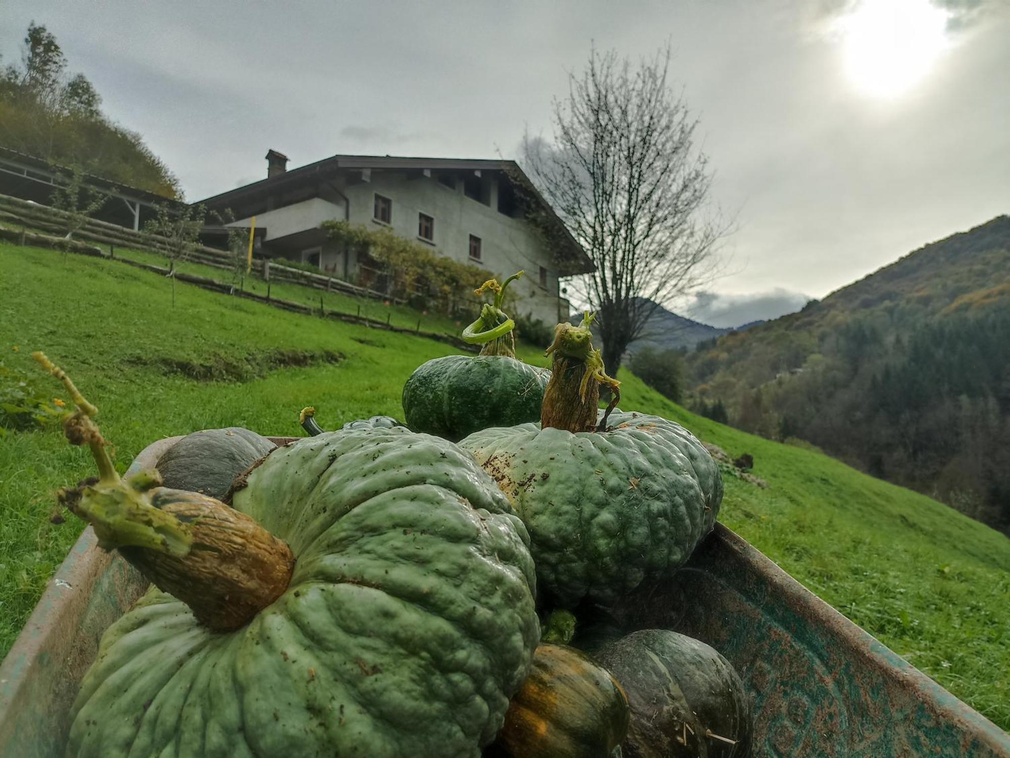 Cremeno Agriturismo Cascina Cornella מראה חיצוני תמונה