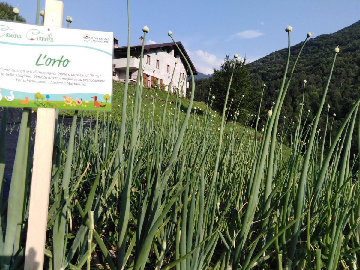 Cremeno Agriturismo Cascina Cornella מראה חיצוני תמונה